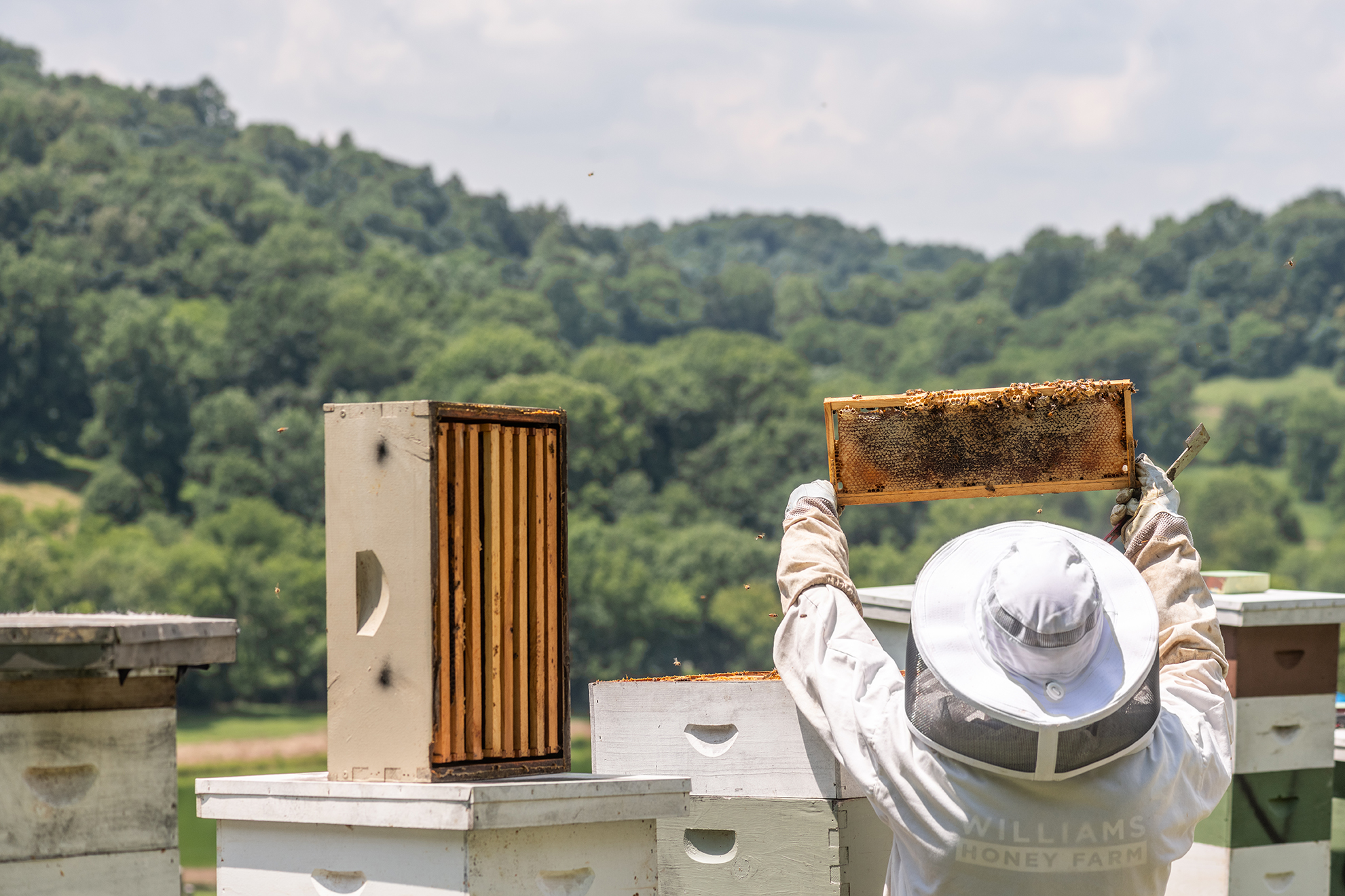 beehive